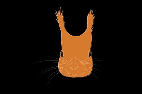 Squirrel drawing. Squirrel head full face. Simple line drawing of a squirrel. Stock Illustration