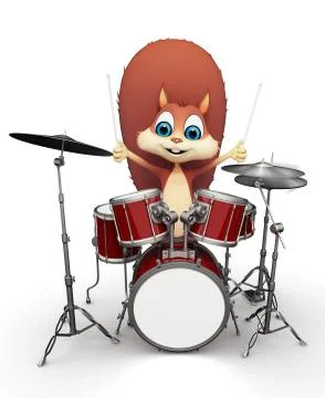 Squirrel with drum set Illustrazione stock
