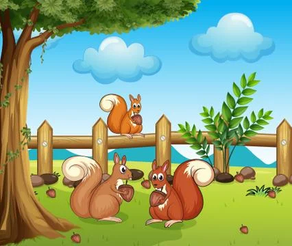 A squirrel eating nut Illustrazione stock