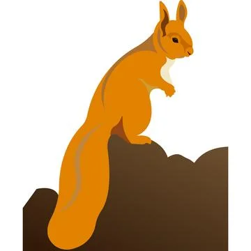 A squirrel with a fluffy tail. Red squirrel. 스톡 일러스트