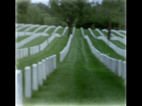 Squirrel going up the tree on Arlington National Cemetery. 8mm film footage. Stock Footage 75254710