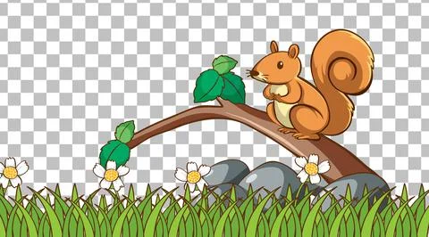 Squirrel on the grass field on transparent background Stock Illustration