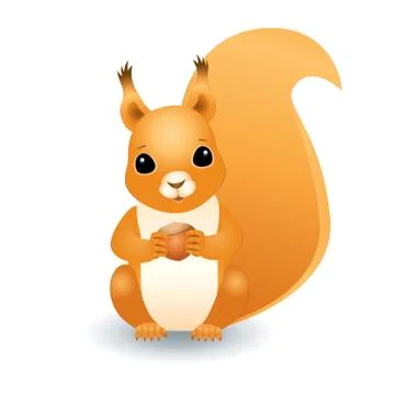 Squirrel with a hazelnut イラスト素材