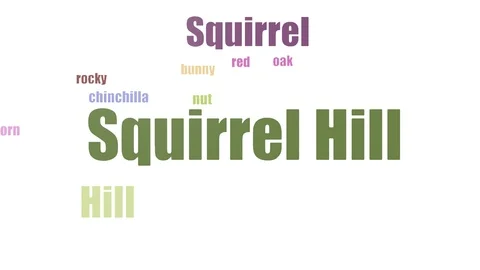 Squirrel Hill Word Cloud Animated Isolated Stock Footage 103561489