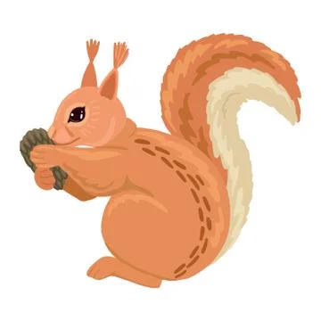 Squirrel holding a pinecone. Vector cartoon illustration Stock Illustration