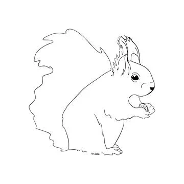 A squirrel holds a nut Stock Illustration