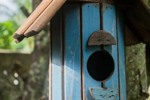 Squirrel house Stock Photos