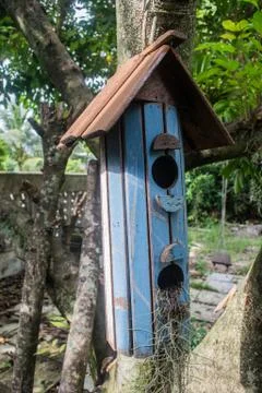 Squirrel house Stock Photos