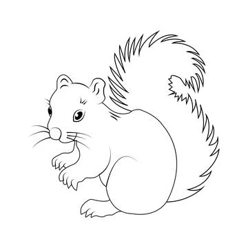Squirrel icon Stock Illustration