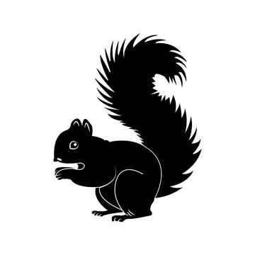 Squirrel icon Stock Illustration