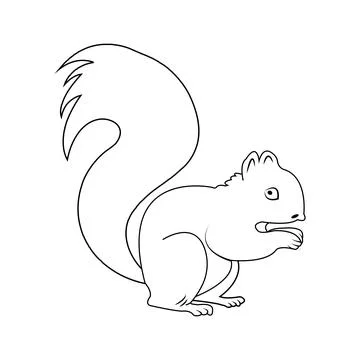 Squirrel icon Stock Illustration