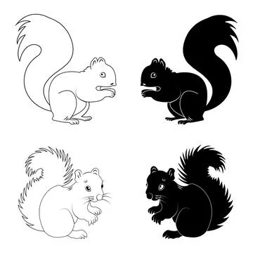 Squirrel icon Illustrazione stock