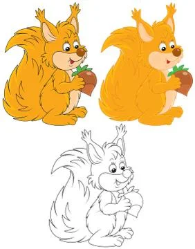 Squirrel Illustrazione stock