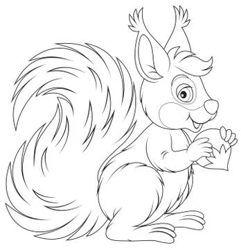 Squirrel Stock Illustration