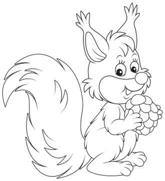 Squirrel Stock Illustration