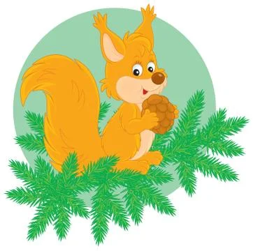 Squirrel Stock Illustration