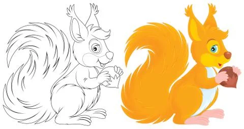 Squirrel Stock Illustration