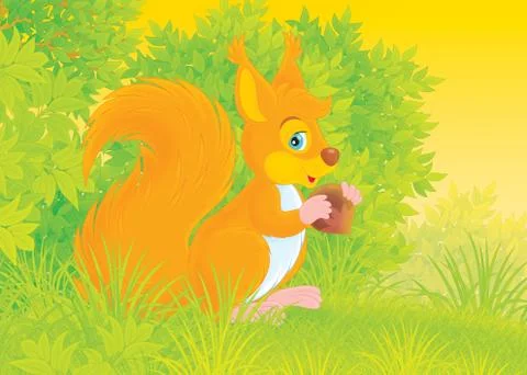 Squirrel Stock Illustration