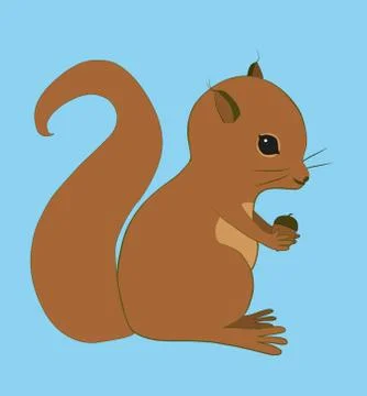 Squirrel Illustrazione stock