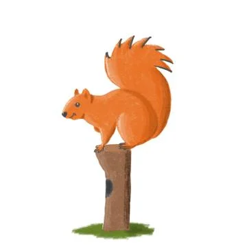 Squirrel Illustrazione stock