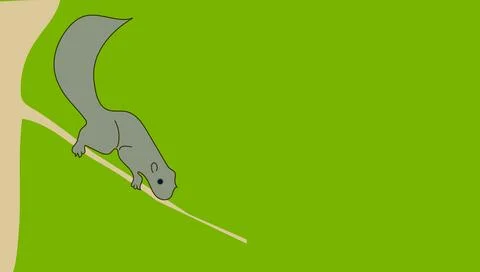 Squirrel Stock Illustration