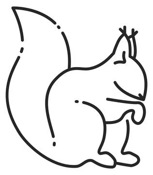 Squirrel line icon. Forest or park wild animal 스톡 일러스트