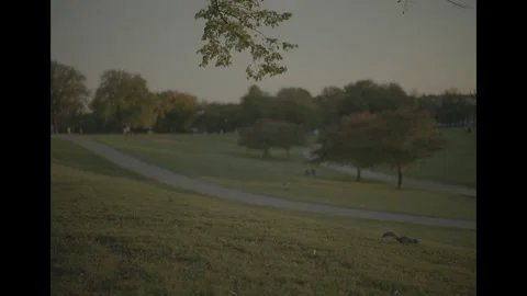 Squirrel looking around in park Video stock 285474498