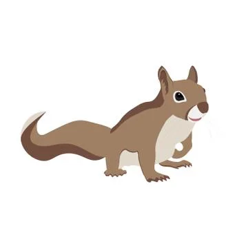 Squirrel is looking for cones Stock Illustration