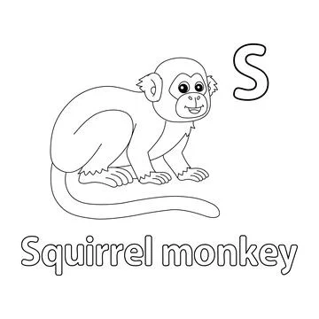 Squirrel Monkey Alphabet ABC Isolated Coloring S 스톡 일러스트