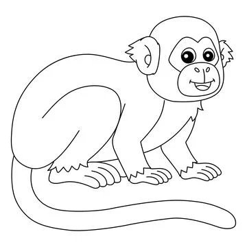 Squirrel Monkey Animal Isolated Coloring Page 스톡 일러스트