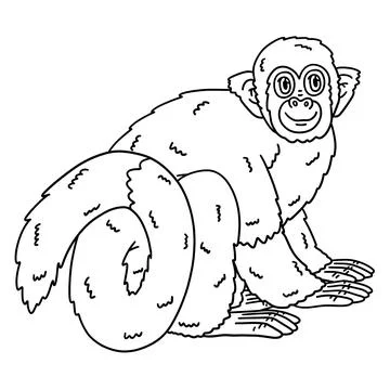 Squirrel Monkey Animal Isolated Coloring Page Stock Illustration