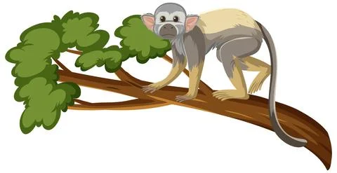 Squirrel monkey cartoon character on a branch isolated on white background 스톡 일러스트