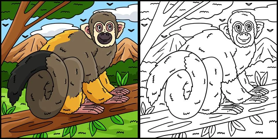 Squirrel Monkey Coloring Page Colored Illustration 스톡 일러스트