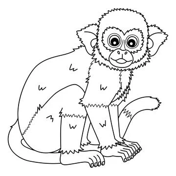 Squirrel Monkey Isolated Coloring Page for Kids 스톡 일러스트