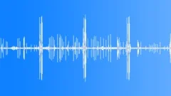 Squirrel Nervous Chatter Sound Effect