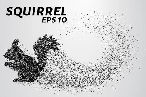 The squirrel from the particles. Silhouette of squirrel consists of small cir Stock Illustration