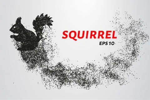 The squirrel from the particles. Silhouette of squirrel consists of small cir Stock Illustration