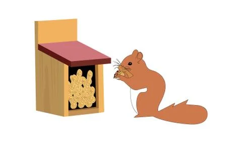 Squirrel with peanuts Stock Illustration