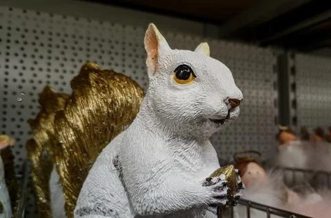 Squirrel Fotos Stock