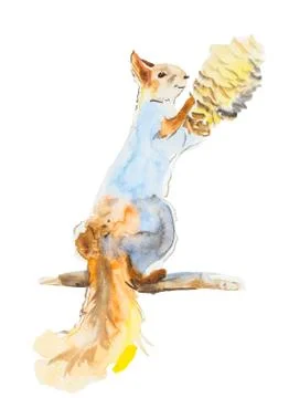 Squirrel with pinecone isolated on a white background, watercolor Stock Illustration