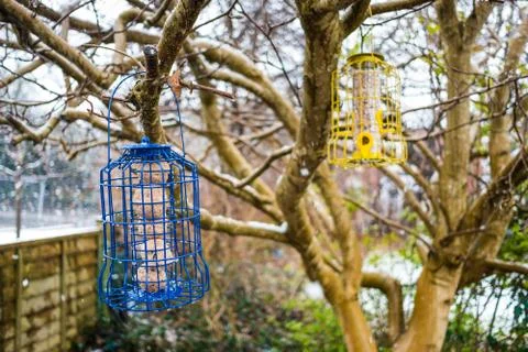 Squirrel Proof Bird Feeder Hanging on a Tree Stock Photos