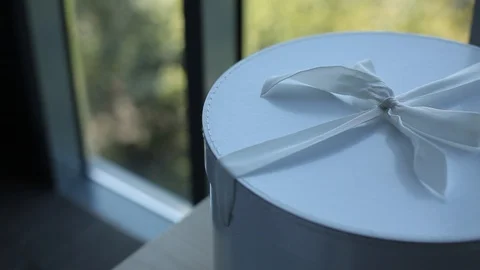 Squirrel round box with a bow from a white ribbon Stock Footage 114495775