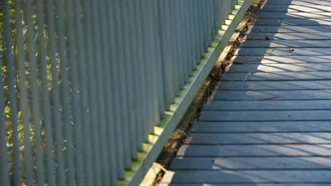 Squirrel run and jumping under hand rail in slow motion Video stock 171179946