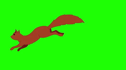 Squirrel Run Animation  4K 29.97 Stock Footage 123968906