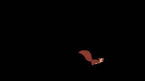 Squirrel running across screen Stock Footage 107137640