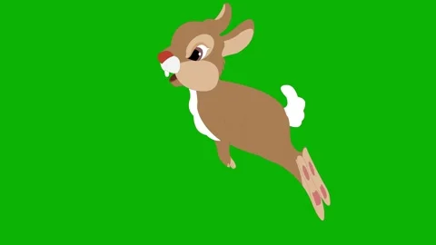 Squirrel Running Animation – Green Screen. Cute squirrel running fast  Video stock 325495487