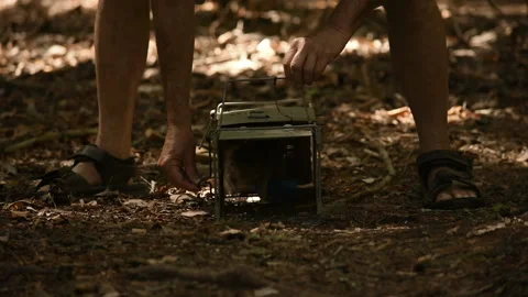 Squirrel Runs out of Trap When Released, Close Up Stock Footage 140154846