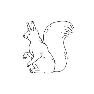 Squirrel side view. Cartoon outline black white sketch illustration of cute Stock-Illustration