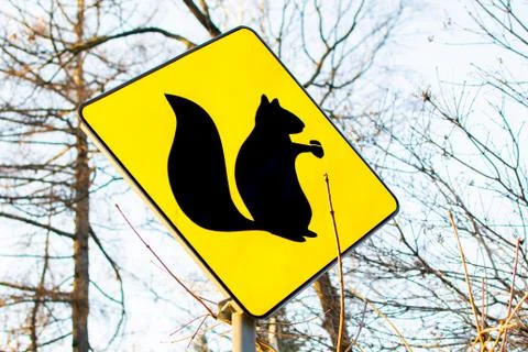 Squirrel sign in the forest Foto stock