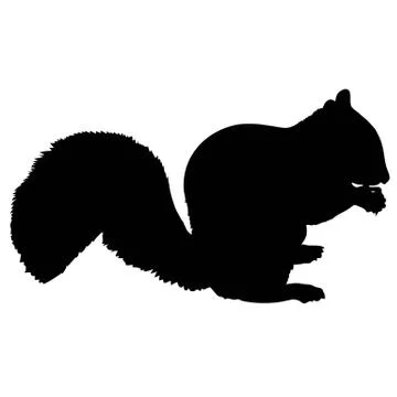 Squirrel Silhouette Stock Illustration